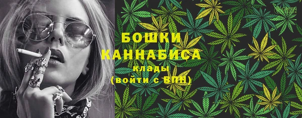 индика Беломорск