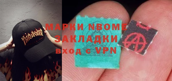 индика Беломорск