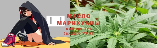 индика Беломорск