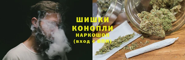 индика Беломорск