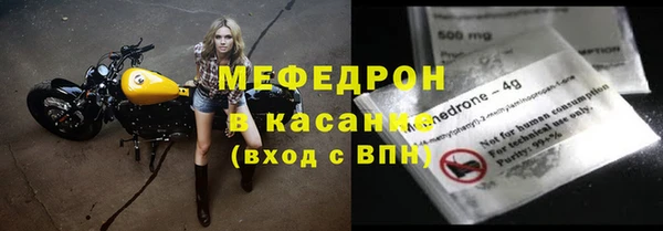 индика Беломорск