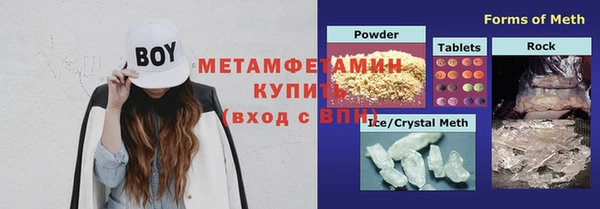 индика Беломорск