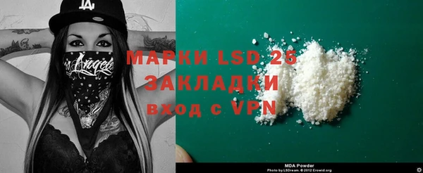 индика Беломорск
