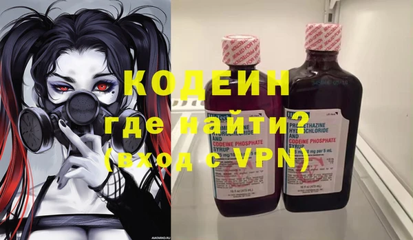индика Беломорск