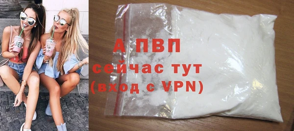 индика Беломорск